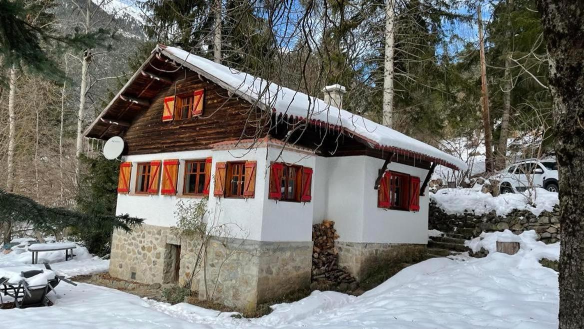 Chalet Le Tyrolien, Au Coeur Du Boreon Saint-Martin-Vésubie Buitenkant foto
