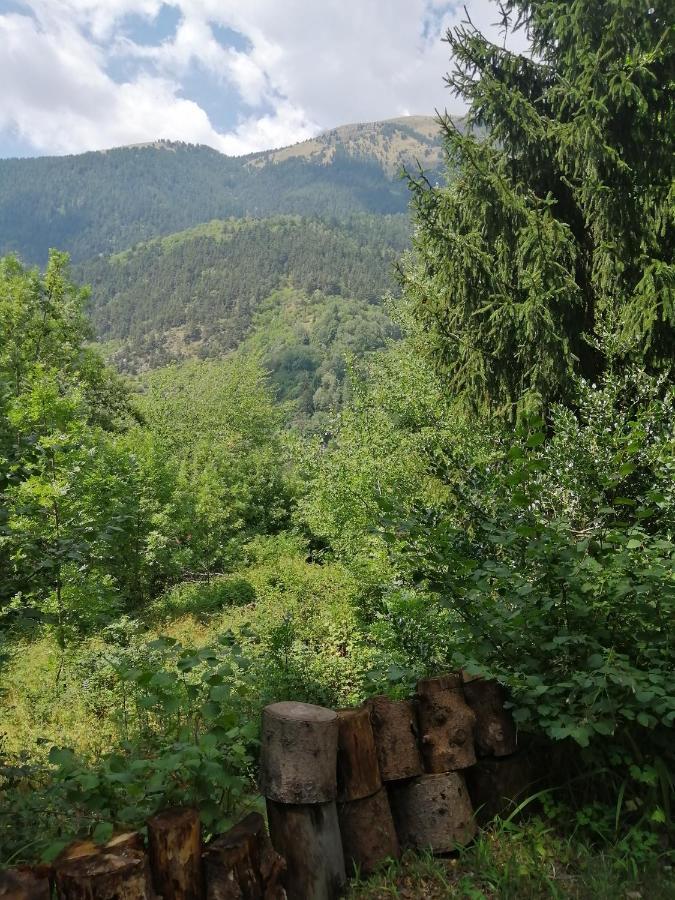 Chalet Le Tyrolien, Au Coeur Du Boreon Saint-Martin-Vésubie Buitenkant foto